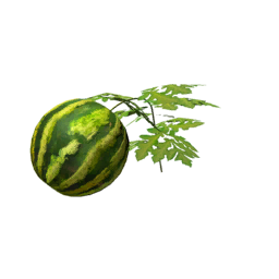 Datei:Plant watermelon.png