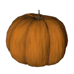 Datei:Item pumpkin.png