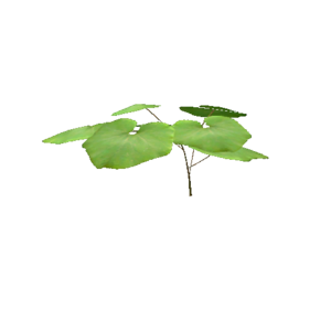 Plant pumpkin s1.png