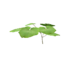 Plant pumpkin s1.png