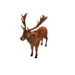 Npc deerred 0.png