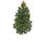 Object xmastree.png