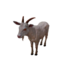 Npc billygoat 0.png