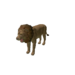 Npc lion 0.png