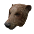 Clothing maskbear.png