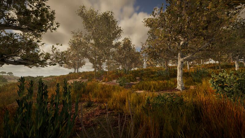 Datei:Biome-aridforest.jpg