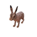 Npc hare 0.png