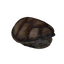 Item turtleshell.png