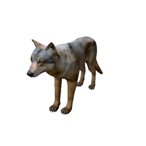 Npc shewolf 0.png