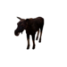 Npc moose 0.png