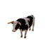 Npc bull 0.png