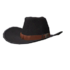 Clothing cowboyhat.png