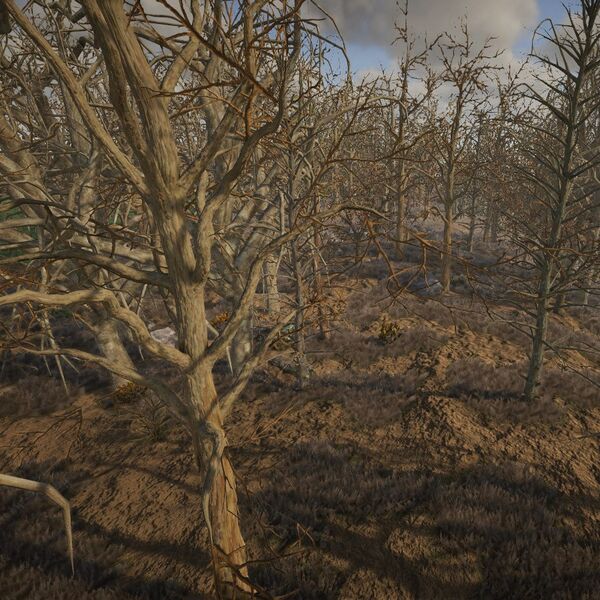 Datei:Biomes ForestDead small.jpg