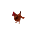 Npc chicken 1.png