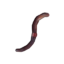 Item earthworm.png