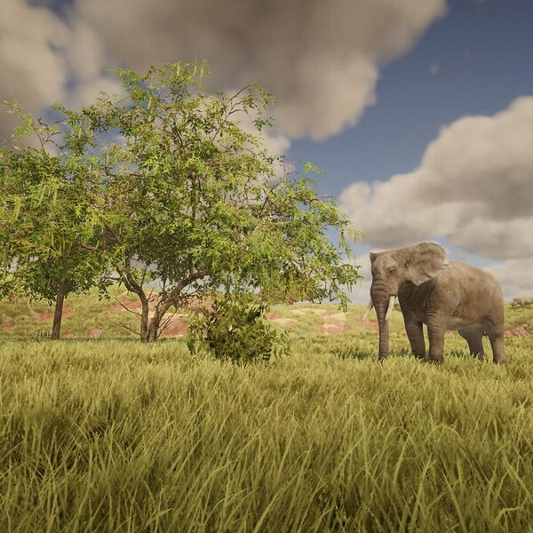 Datei:Biomes Arid small.jpg