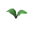 Item saplinglettuce.png