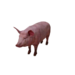 Npc pig 0.png