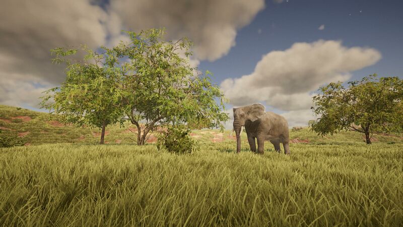 Datei:Biome-arid.jpg