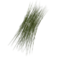 Item grass.png