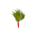 Plant carrot.png