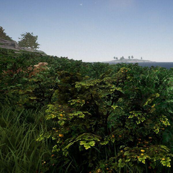 Datei:Biomes BushMeadow small.jpg