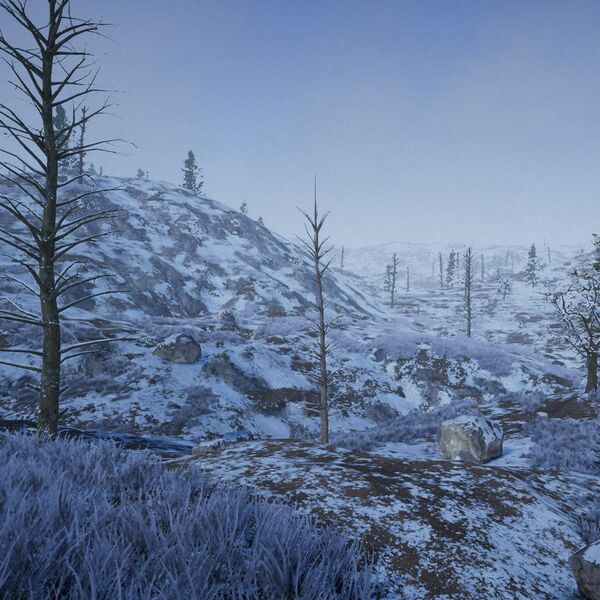 Datei:Biomes Tundra small.jpg