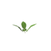 Plant potato sapling.png