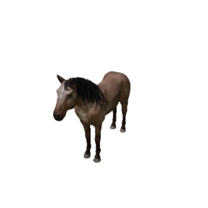 Npc horse 0.png