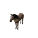 Npc horse 0.png