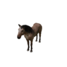 Npc horse 0.png