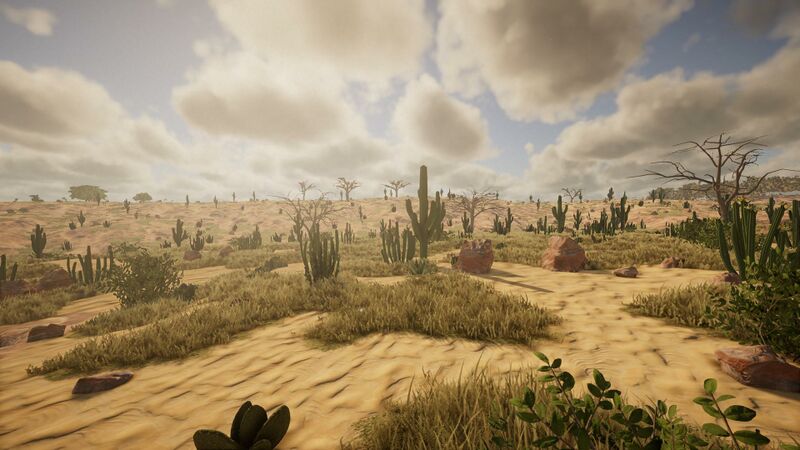 Datei:Biome-desert1.jpg