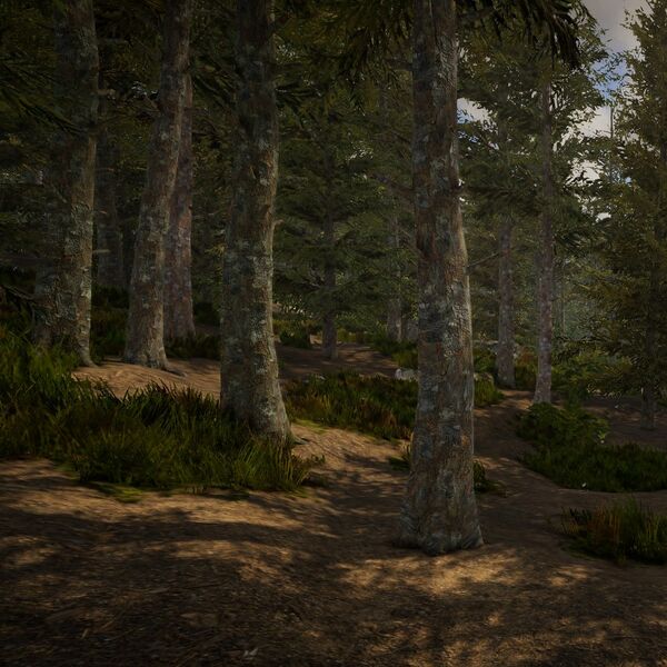 Datei:Biomes ForestConiferous small.jpg