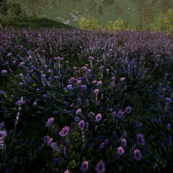 Datei:Biomes FlowerMeadow2 small.jpg