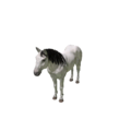 Npc horse 4.png