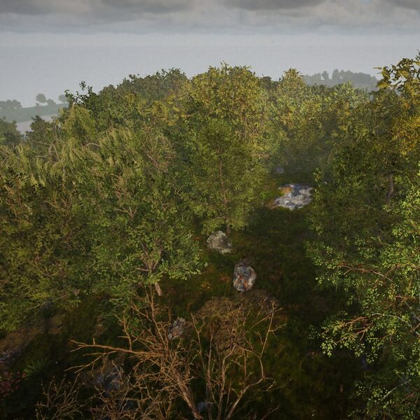 Datei:Biomes ForestDeciduous small.jpg
