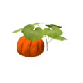 Plant pumpkin.png