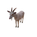 Npc goat 0.png