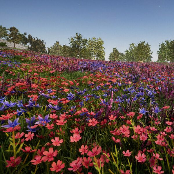 Datei:Biomes FlowerMeadow small.jpg