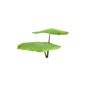 Plant pumpkin s0.png