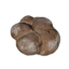 Item bread.png