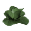 Item lettuce.png