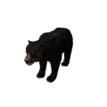 Npc bear 1.png