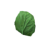 Plant lettuce s0.png