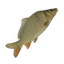 Item carp.png