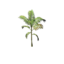 Item saplingpalm.png