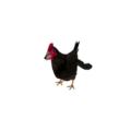 Npc chicken 2.png